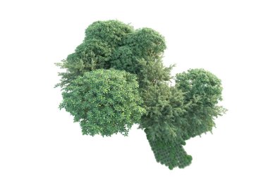 Orman ıssız. Görüntü pankartlar, posterler ya da fotoğraf manipülasyonları için kullanışlı. 3d görüntüleme - illüstrasyon