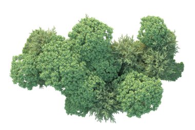 Orman ıssız. Görüntü pankartlar, posterler ya da fotoğraf manipülasyonları için kullanışlı. 3d görüntüleme - illüstrasyon