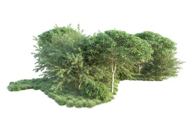 Orman ıssız. Görüntü pankartlar, posterler ya da fotoğraf manipülasyonları için kullanışlı. 3d görüntüleme - illüstrasyon