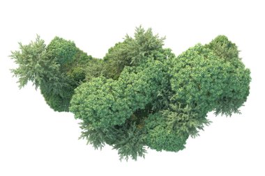 Orman ıssız. Görüntü pankartlar, posterler ya da fotoğraf manipülasyonları için kullanışlı. 3d görüntüleme - illüstrasyon