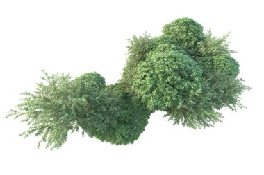 Orman ıssız. Görüntü pankartlar, posterler ya da fotoğraf manipülasyonları için kullanışlı. 3d görüntüleme - illüstrasyon