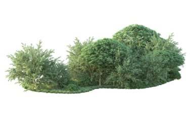 Orman ıssız. Görüntü pankartlar, posterler ya da fotoğraf manipülasyonları için kullanışlı. 3d görüntüleme - illüstrasyon