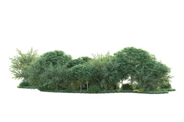 Orman ıssız. Görüntü pankartlar, posterler ya da fotoğraf manipülasyonları için kullanışlı. 3d görüntüleme - illüstrasyon