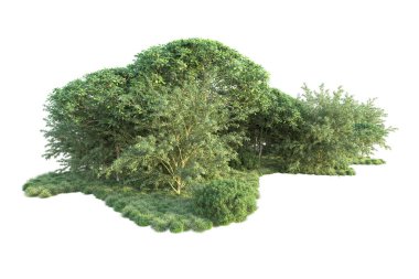 Orman ıssız. Görüntü pankartlar, posterler ya da fotoğraf manipülasyonları için kullanışlı. 3d görüntüleme - illüstrasyon