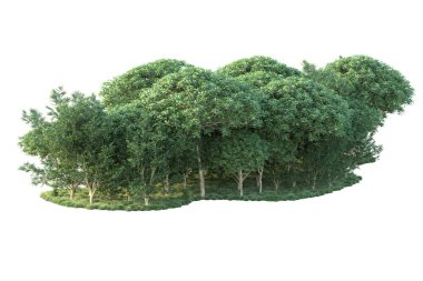 Orman ıssız. Görüntü pankartlar, posterler ya da fotoğraf manipülasyonları için kullanışlı. 3d görüntüleme - illüstrasyon