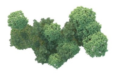 Orman ıssız. Görüntü pankartlar, posterler ya da fotoğraf manipülasyonları için kullanışlı. 3d görüntüleme - illüstrasyon