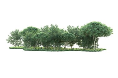 Orman ıssız. Görüntü pankartlar, posterler ya da fotoğraf manipülasyonları için kullanışlı. 3d görüntüleme - illüstrasyon