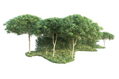 Orman ıssız. Görüntü pankartlar, posterler ya da fotoğraf manipülasyonları için kullanışlı. 3d görüntüleme - illüstrasyon