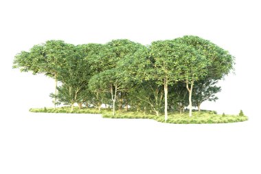 Orman ıssız. Görüntü pankartlar, posterler ya da fotoğraf manipülasyonları için kullanışlı. 3d görüntüleme - illüstrasyon