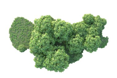 Orman ıssız. Görüntü pankartlar, posterler ya da fotoğraf manipülasyonları için kullanışlı. 3d görüntüleme - illüstrasyon