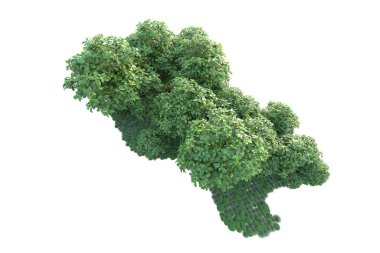 Orman ıssız. Görüntü pankartlar, posterler ya da fotoğraf manipülasyonları için kullanışlı. 3d görüntüleme - illüstrasyon