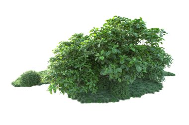 Orman ıssız. Görüntü pankartlar, posterler ya da fotoğraf manipülasyonları için kullanışlı. 3d görüntüleme - illüstrasyon