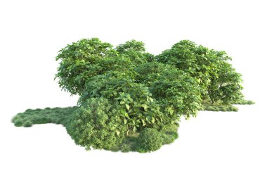 Orman ıssız. Görüntü pankartlar, posterler ya da fotoğraf manipülasyonları için kullanışlı. 3d görüntüleme - illüstrasyon