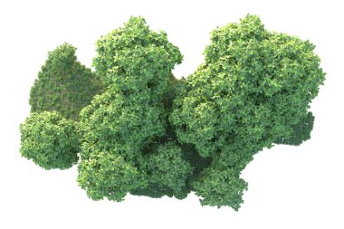 Orman ıssız. Görüntü pankartlar, posterler ya da fotoğraf manipülasyonları için kullanışlı. 3d görüntüleme - illüstrasyon