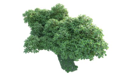 Orman ıssız. Görüntü pankartlar, posterler ya da fotoğraf manipülasyonları için kullanışlı. 3d görüntüleme - illüstrasyon