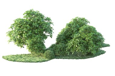 Orman ıssız. Görüntü pankartlar, posterler ya da fotoğraf manipülasyonları için kullanışlı. 3d görüntüleme - illüstrasyon