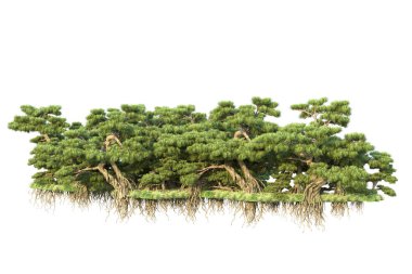 Orman ıssız. Görüntü pankartlar, posterler ya da fotoğraf manipülasyonları için kullanışlı. 3d görüntüleme - illüstrasyon