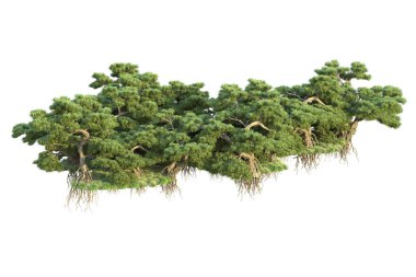 Orman ıssız. Görüntü pankartlar, posterler ya da fotoğraf manipülasyonları için kullanışlı. 3d görüntüleme - illüstrasyon