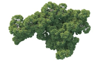 Orman ıssız. Görüntü pankartlar, posterler ya da fotoğraf manipülasyonları için kullanışlı. 3d görüntüleme - illüstrasyon