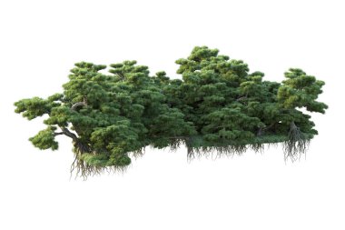 Orman ıssız. Görüntü pankartlar, posterler ya da fotoğraf manipülasyonları için kullanışlı. 3d görüntüleme - illüstrasyon