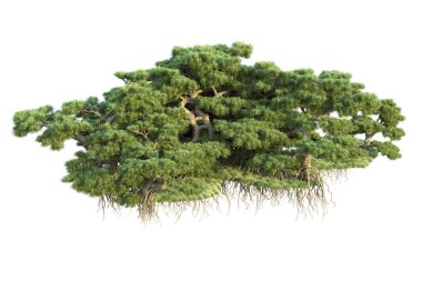 Orman ıssız. Görüntü pankartlar, posterler ya da fotoğraf manipülasyonları için kullanışlı. 3d görüntüleme - illüstrasyon