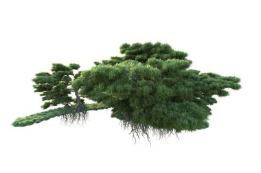 Orman ıssız. Görüntü pankartlar, posterler ya da fotoğraf manipülasyonları için kullanışlı. 3d görüntüleme - illüstrasyon