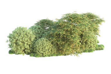 Orman ıssız. Görüntü pankartlar, posterler ya da fotoğraf manipülasyonları için kullanışlı. 3d görüntüleme - illüstrasyon