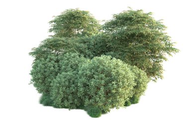 Orman ıssız. Görüntü pankartlar, posterler ya da fotoğraf manipülasyonları için kullanışlı. 3d görüntüleme - illüstrasyon