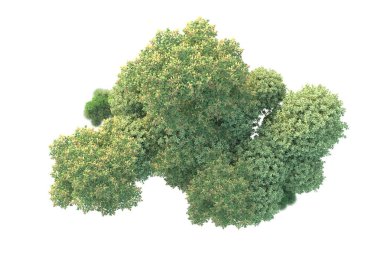 Orman ıssız. Görüntü pankartlar, posterler ya da fotoğraf manipülasyonları için kullanışlı. 3d görüntüleme - illüstrasyon