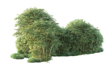 Orman ıssız. Görüntü pankartlar, posterler ya da fotoğraf manipülasyonları için kullanışlı. 3d görüntüleme - illüstrasyon