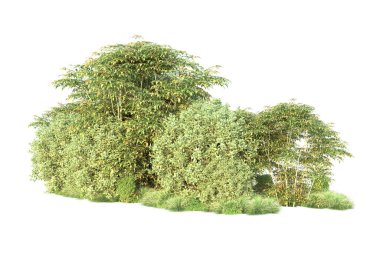 Orman ıssız. Görüntü pankartlar, posterler ya da fotoğraf manipülasyonları için kullanışlı. 3d görüntüleme - illüstrasyon