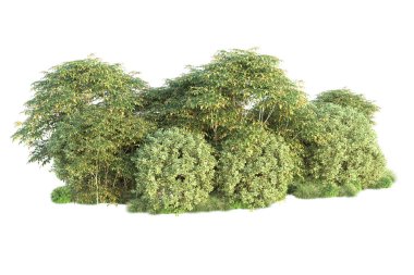 Orman ıssız. Görüntü pankartlar, posterler ya da fotoğraf manipülasyonları için kullanışlı. 3d görüntüleme - illüstrasyon