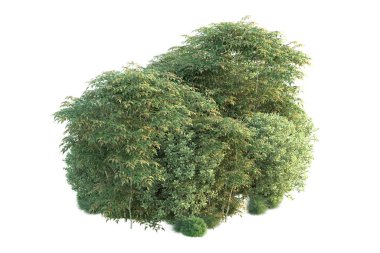 Orman ıssız. Görüntü pankartlar, posterler ya da fotoğraf manipülasyonları için kullanışlı. 3d görüntüleme - illüstrasyon