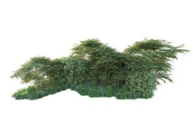 Orman ıssız. Görüntü pankartlar, posterler ya da fotoğraf manipülasyonları için kullanışlı. 3d görüntüleme - illüstrasyon