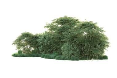 Orman ıssız. Görüntü pankartlar, posterler ya da fotoğraf manipülasyonları için kullanışlı. 3d görüntüleme - illüstrasyon