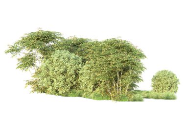 Orman ıssız. Görüntü pankartlar, posterler ya da fotoğraf manipülasyonları için kullanışlı. 3d görüntüleme - illüstrasyon