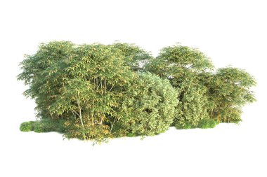 Orman ıssız. Görüntü pankartlar, posterler ya da fotoğraf manipülasyonları için kullanışlı. 3d görüntüleme - illüstrasyon