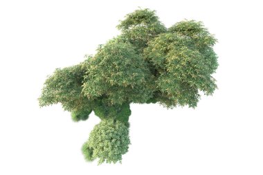 Orman ıssız. Görüntü pankartlar, posterler ya da fotoğraf manipülasyonları için kullanışlı. 3d görüntüleme - illüstrasyon