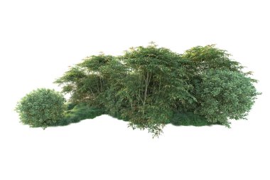 Orman ıssız. Görüntü pankartlar, posterler ya da fotoğraf manipülasyonları için kullanışlı. 3d görüntüleme - illüstrasyon