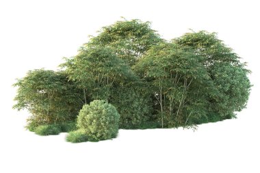 Orman ıssız. Görüntü pankartlar, posterler ya da fotoğraf manipülasyonları için kullanışlı. 3d görüntüleme - illüstrasyon