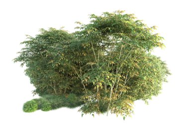 Orman ıssız. Görüntü pankartlar, posterler ya da fotoğraf manipülasyonları için kullanışlı. 3d görüntüleme - illüstrasyon