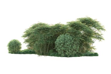 Orman ıssız. Görüntü pankartlar, posterler ya da fotoğraf manipülasyonları için kullanışlı. 3d görüntüleme - illüstrasyon