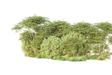 Orman ıssız. Görüntü pankartlar, posterler ya da fotoğraf manipülasyonları için kullanışlı. 3d görüntüleme - illüstrasyon