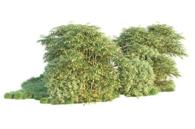 Orman ıssız. Görüntü pankartlar, posterler ya da fotoğraf manipülasyonları için kullanışlı. 3d görüntüleme - illüstrasyon