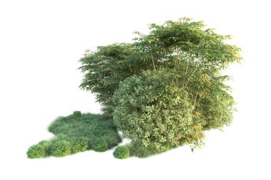 Orman ıssız. Görüntü pankartlar, posterler ya da fotoğraf manipülasyonları için kullanışlı. 3d görüntüleme - illüstrasyon