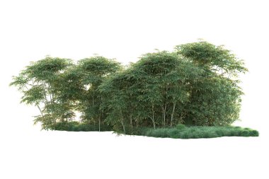 Orman ıssız. Görüntü pankartlar, posterler ya da fotoğraf manipülasyonları için kullanışlı. 3d görüntüleme - illüstrasyon