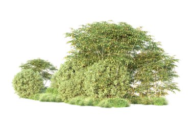 Orman ıssız. Görüntü pankartlar, posterler ya da fotoğraf manipülasyonları için kullanışlı. 3d görüntüleme - illüstrasyon