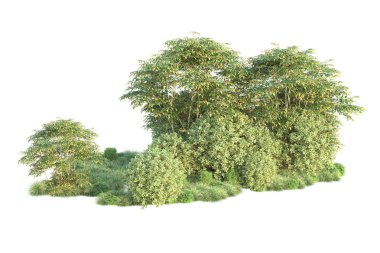 Orman ıssız. Görüntü pankartlar, posterler ya da fotoğraf manipülasyonları için kullanışlı. 3d görüntüleme - illüstrasyon