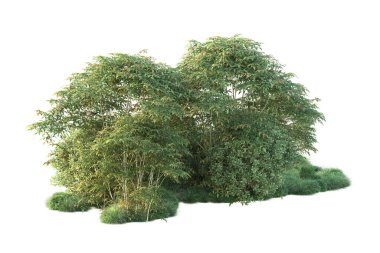 Orman ıssız. Görüntü pankartlar, posterler ya da fotoğraf manipülasyonları için kullanışlı. 3d görüntüleme - illüstrasyon