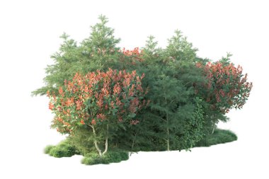 Fotokopi alanı için beyaz zemin üzerinde izole edilmiş gerçekçi ağaçlar.